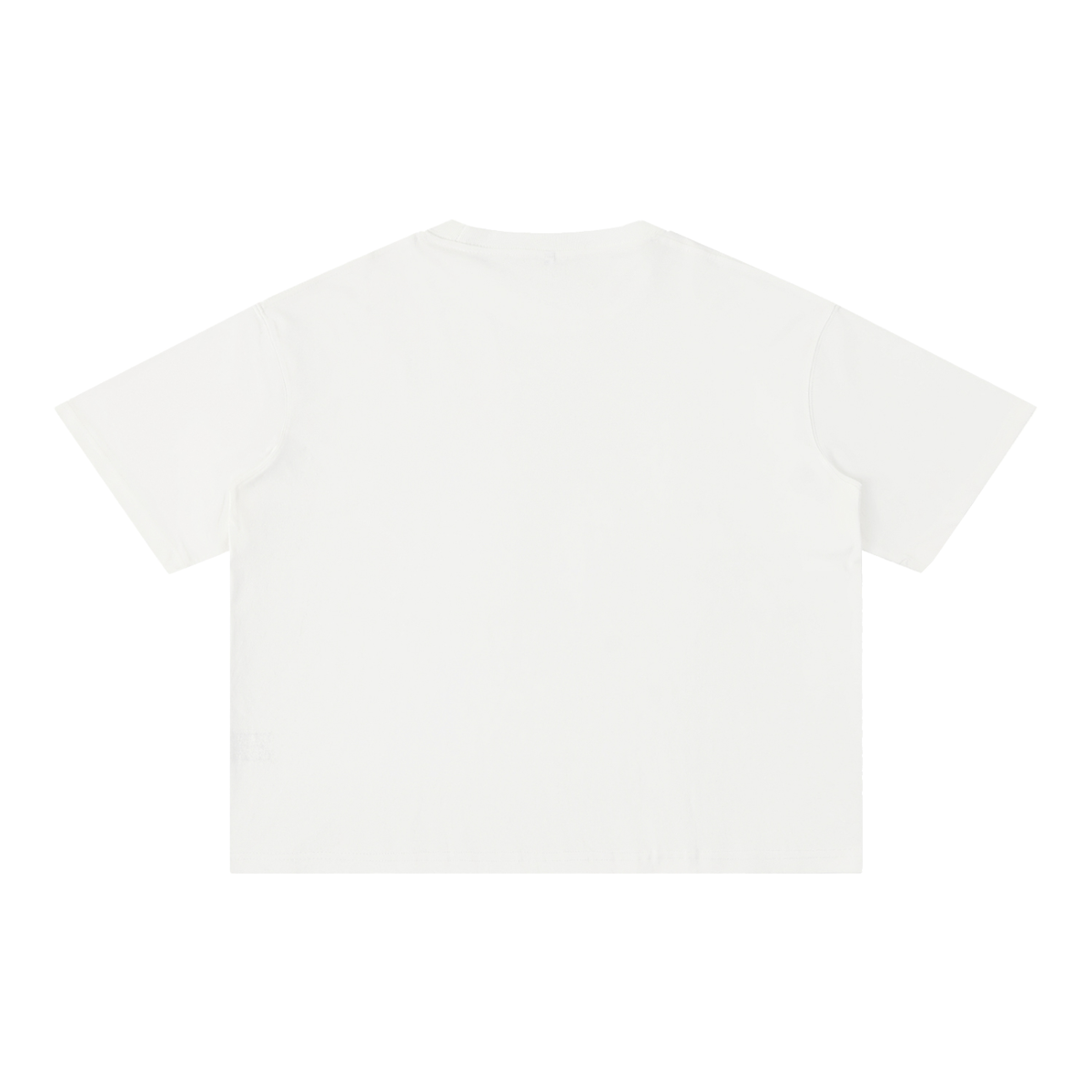 Dust & Glory Washed Tee, White — plain back view