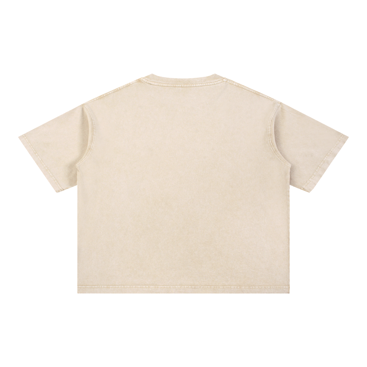 Stand Your Ground Washed Tee, Light Apricot — plain back view