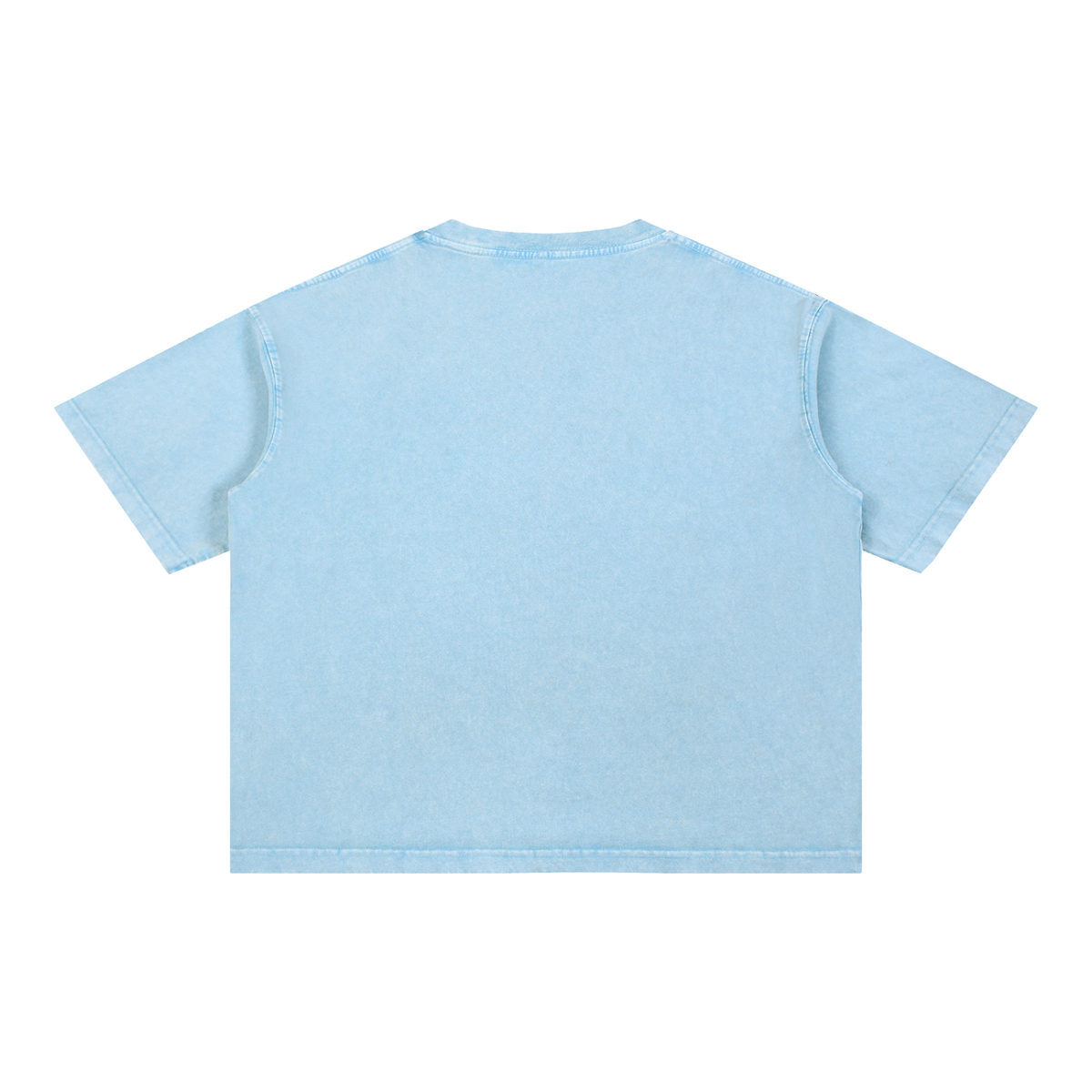Born to Roam Washed Tee, Sky Blue — plain back view