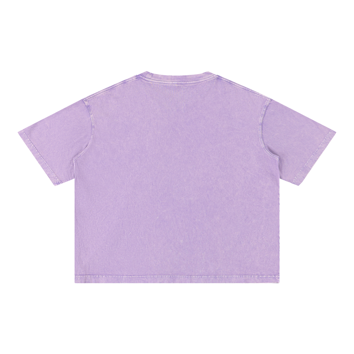 Born to Roam Washed Tee, Purple — plain back view