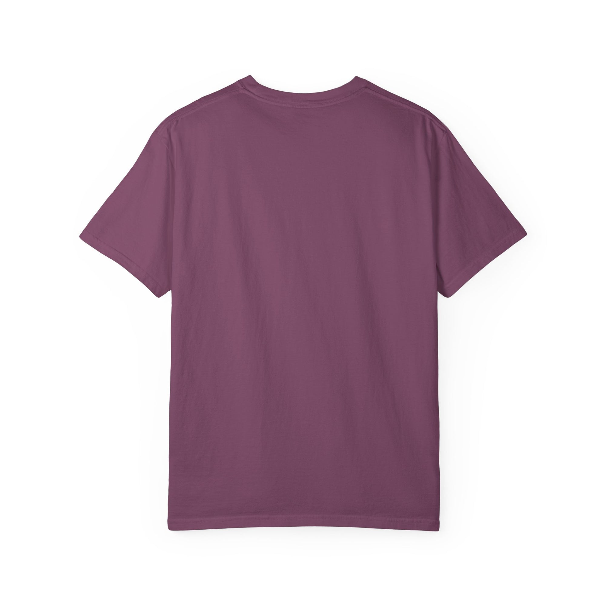KND Coastal Colors Tee unisex heavyweight graphic T-shirt - KND Brand