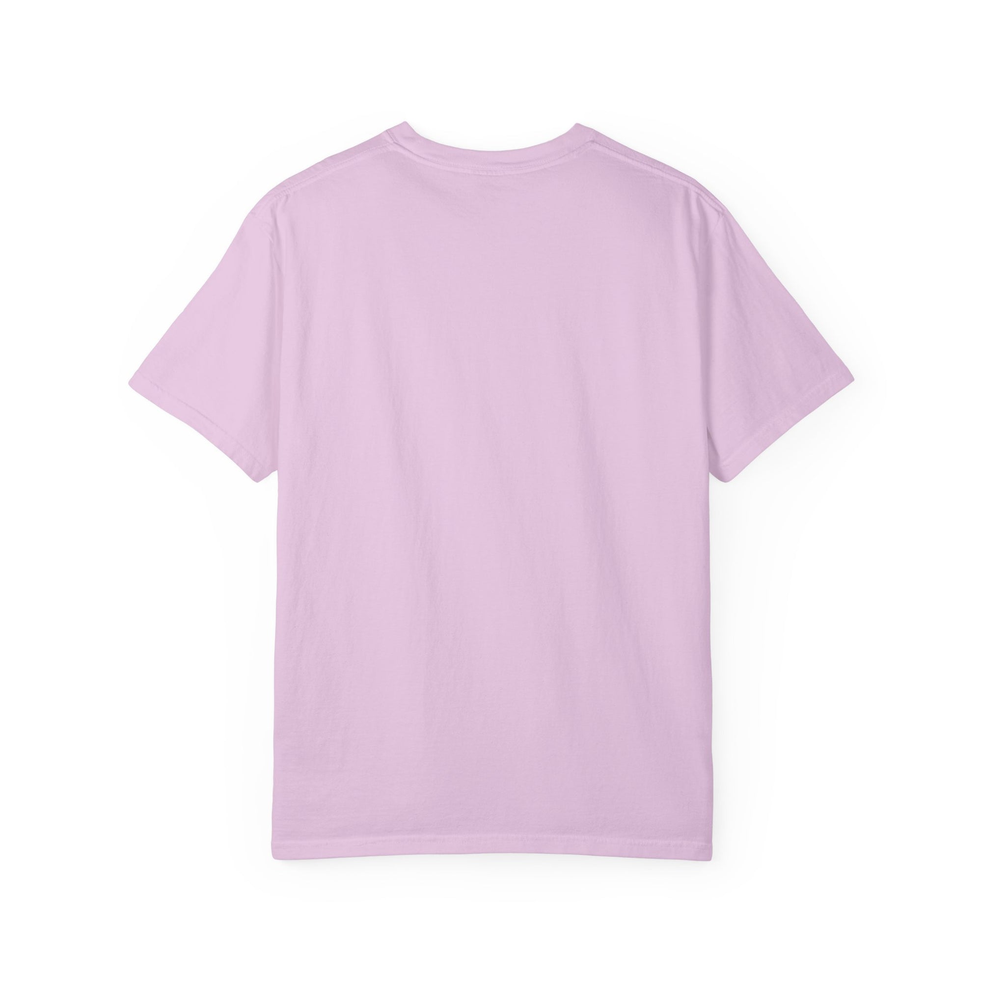 KND Classic garment-dyed graphic T-shirt - KND Brand