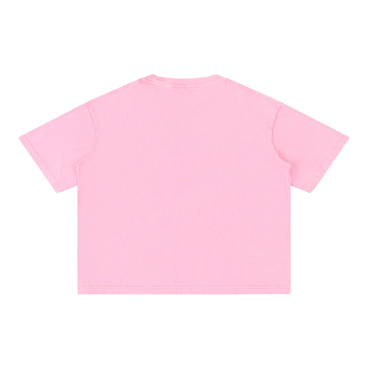 Dust &amp; Glory Washed Tee, Rose Pink — plain back view