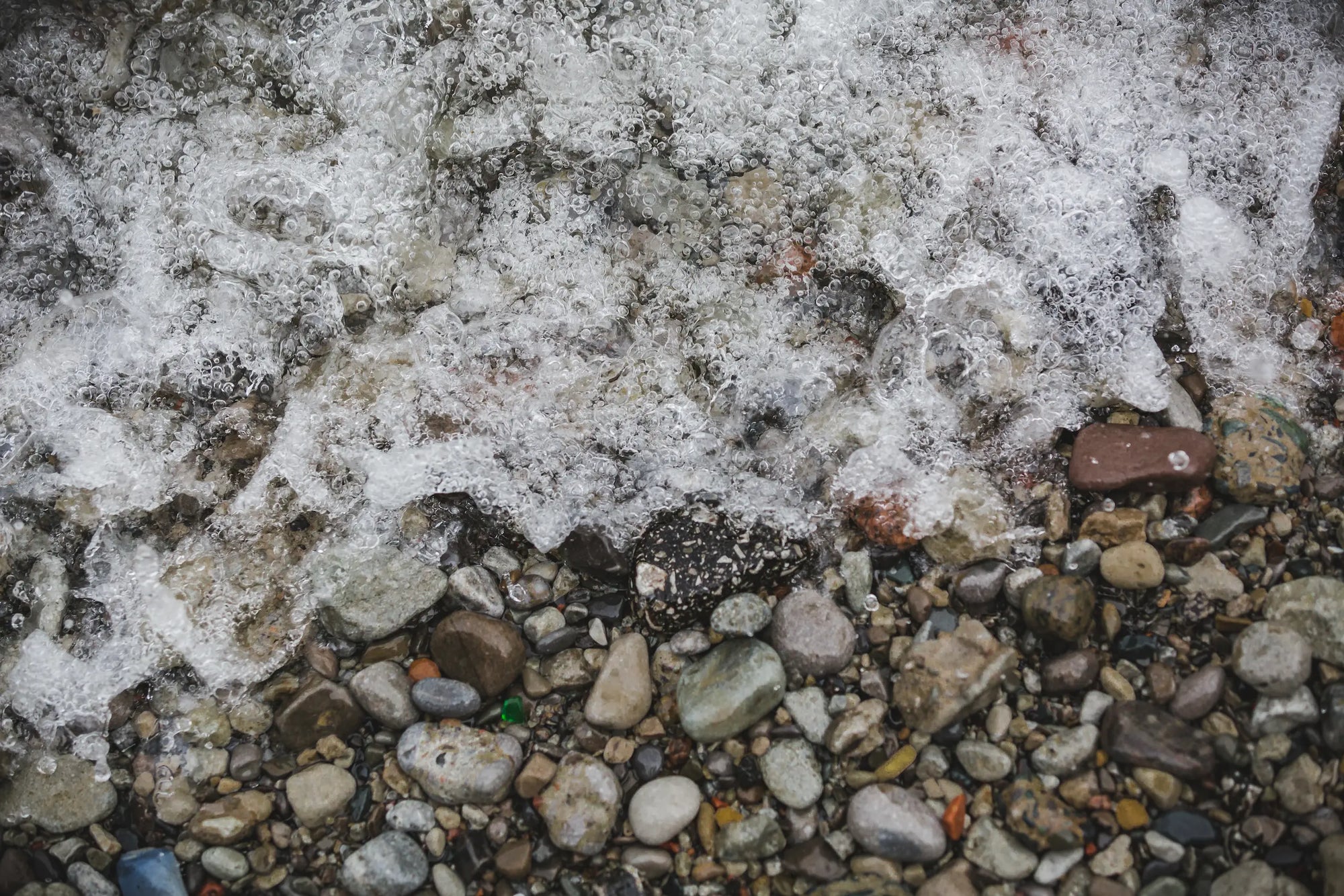 Slideshow Image 1